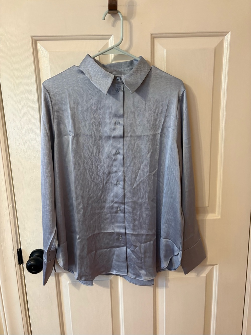 H&M Blue Button-Down Shirt